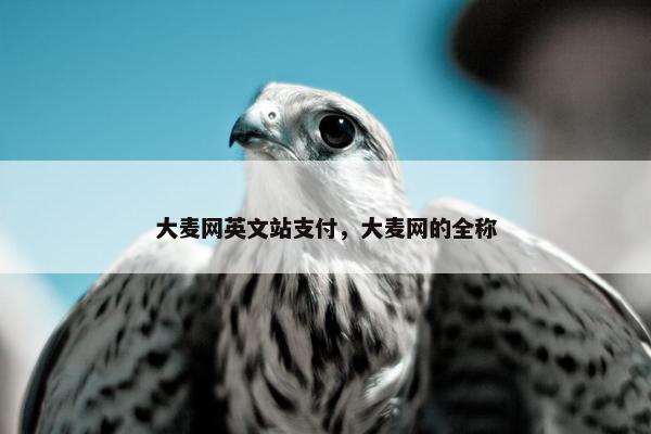 大麦网英文站支付，大麦网的全称