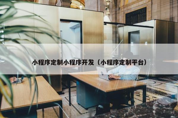 小程序定制小程序开发（小程序定制平台）