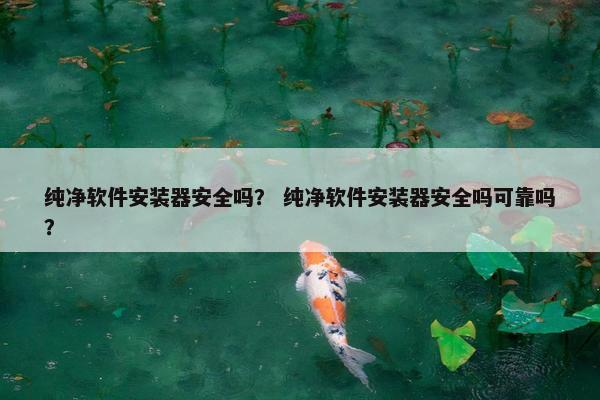 纯净软件安装器安全吗？ 纯净软件安装器安全吗可靠吗？