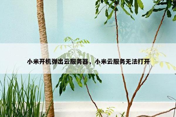 小米开机弹出云服务器，小米云服务无法打开