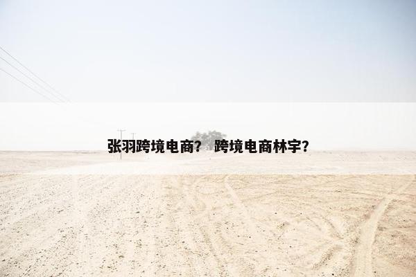 张羽跨境电商？ 跨境电商林宇？