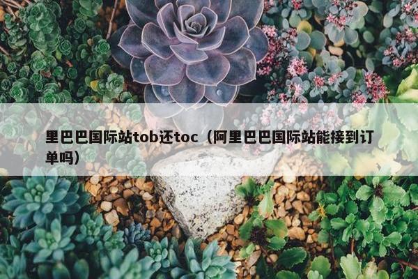 里巴巴国际站tob还toc（阿里巴巴国际站能接到订单吗）
