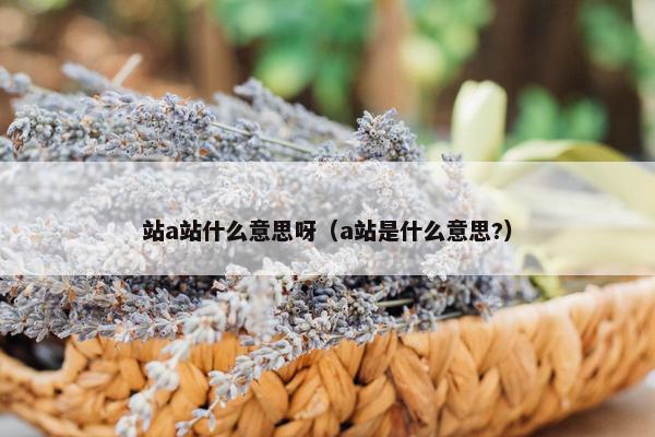 站a站什么意思呀（a站是什么意思?）