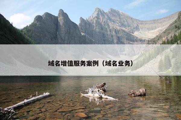 域名增值服务案例（域名业务）