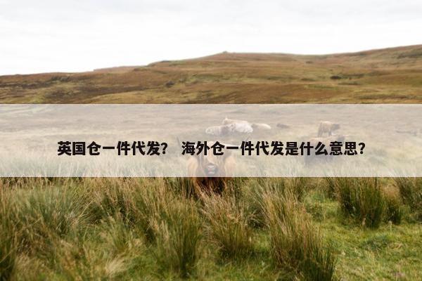 英国仓一件代发？ 海外仓一件代发是什么意思？