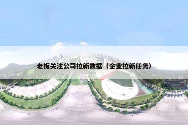 老板关注公司拉新数据（企业拉新任务）