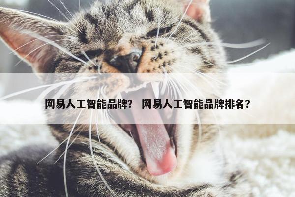 网易人工智能品牌？ 网易人工智能品牌排名？