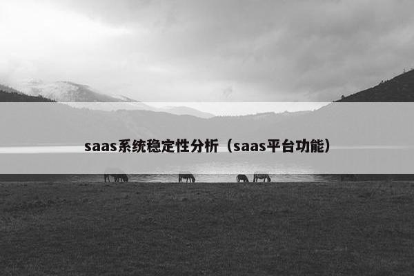 saas系统稳定性分析（saas平台功能）