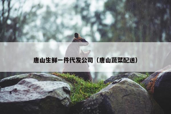唐山生鲜一件代发公司（唐山蔬菜配送）