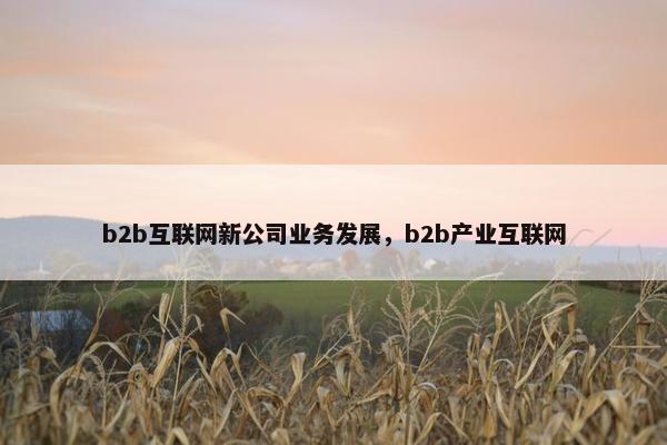 b2b互联网新公司业务发展，b2b产业互联网