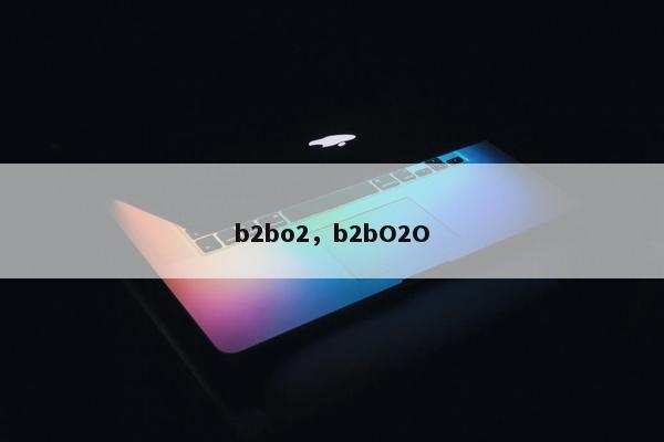 b2bo2，b2bO2O