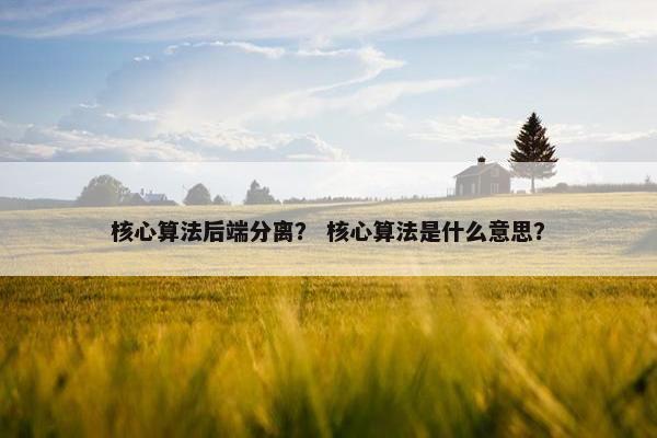 核心算法后端分离？ 核心算法是什么意思？