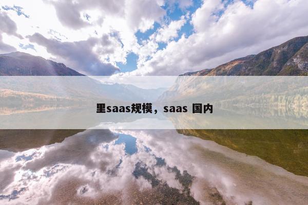 里saas规模，saas 国内