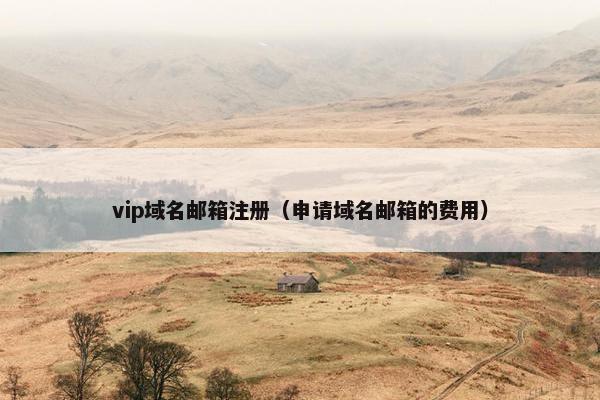 vip域名邮箱注册（申请域名邮箱的费用）
