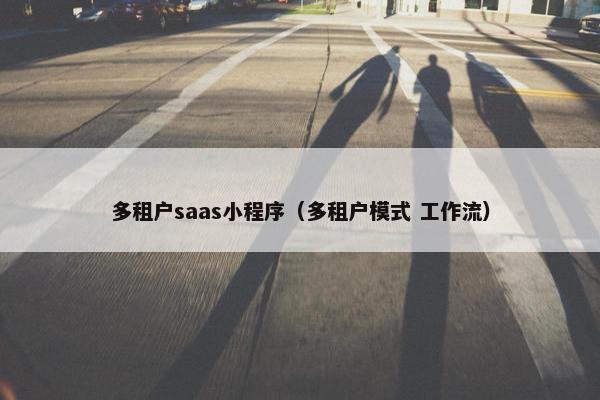 多租户saas小程序（多租户模式 工作流）