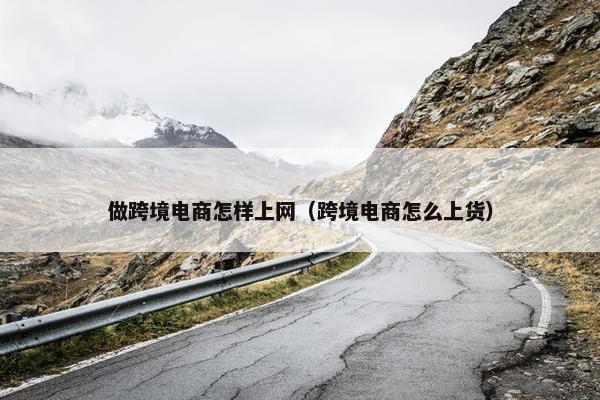 做跨境电商怎样上网（跨境电商怎么上货）