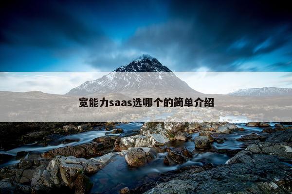 宽能力saas选哪个的简单介绍