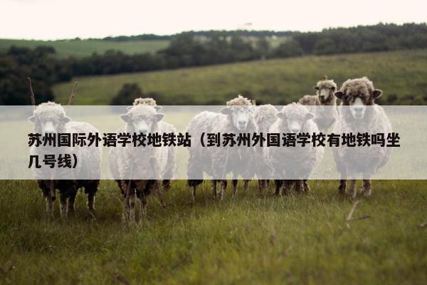 苏州国际外语学校地铁站（到苏州外国语学校有地铁吗坐几号线）