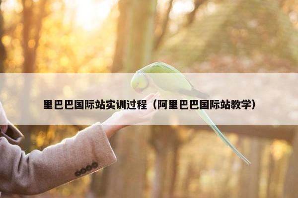 里巴巴国际站实训过程（阿里巴巴国际站教学）