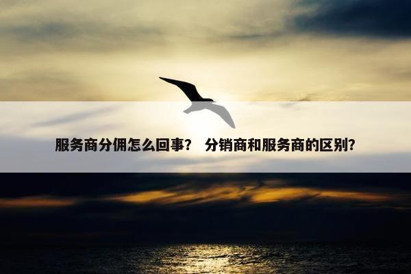 服务商分佣怎么回事？ 分销商和服务商的区别？