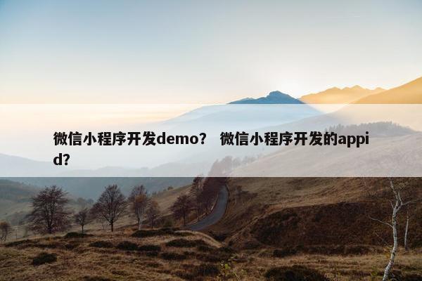 微信小程序开发demo？ 微信小程序开发的appid？