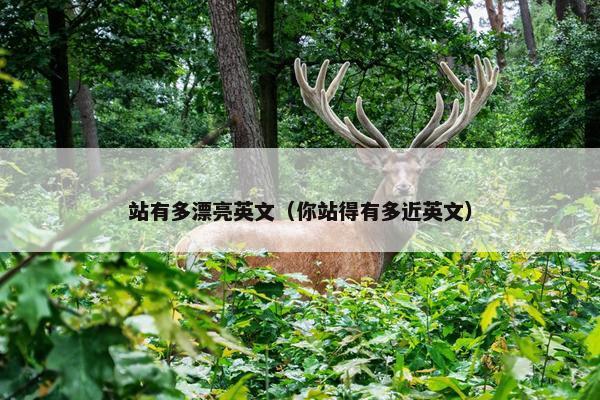 站有多漂亮英文（你站得有多近英文）