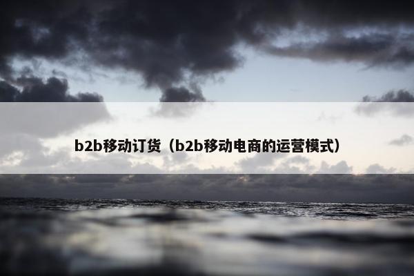 b2b移动订货（b2b移动电商的运营模式）