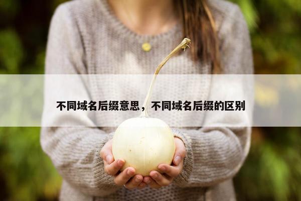 不同域名后缀意思，不同域名后缀的区别