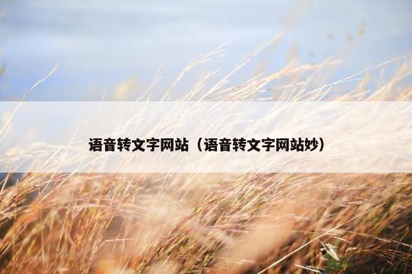 语音转文字网站（语音转文字网站妙）