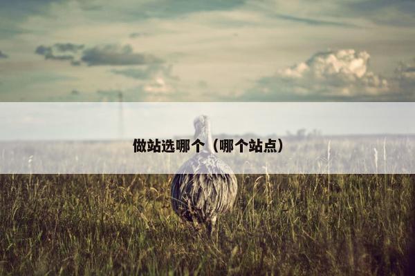 做站选哪个（哪个站点）
