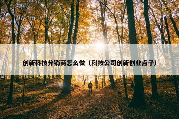 创新科技分销商怎么做（科技公司创新创业点子）