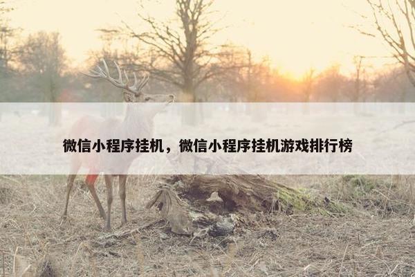 微信小程序挂机，微信小程序挂机游戏排行榜