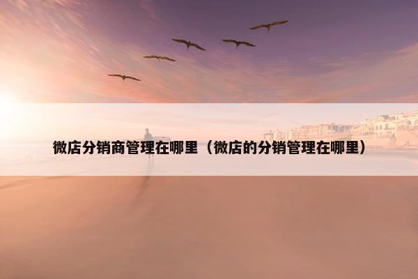 微店分销商管理在哪里（微店的分销管理在哪里）