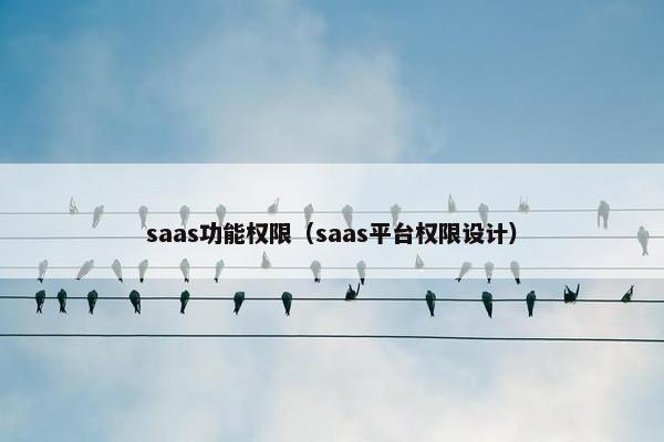 saas功能权限（saas平台权限设计）