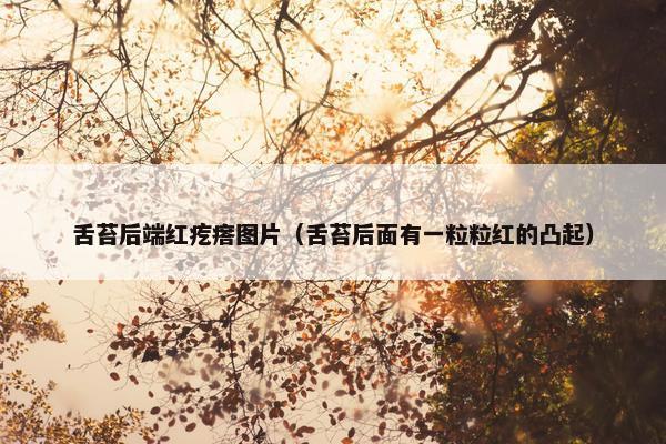 舌苔后端红疙瘩图片（舌苔后面有一粒粒红的凸起）