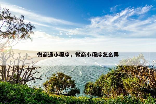 微商通小程序，微商小程序怎么弄