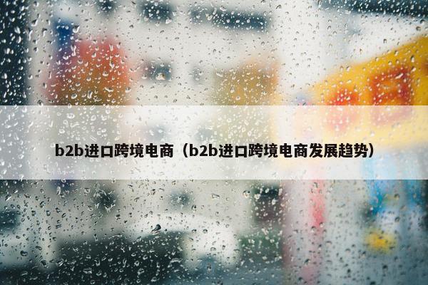 b2b进口跨境电商（b2b进口跨境电商发展趋势）