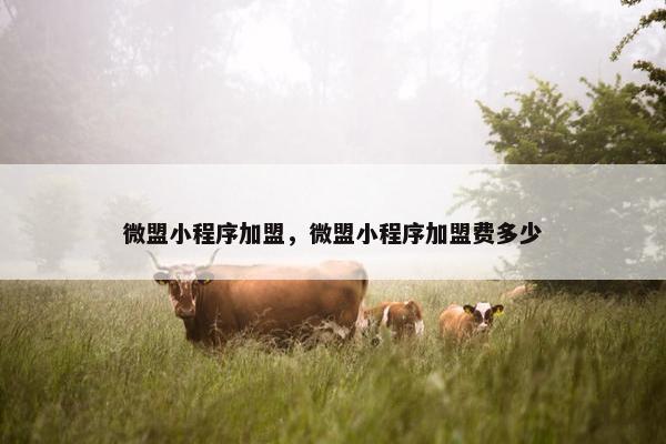 微盟小程序加盟，微盟小程序加盟费多少