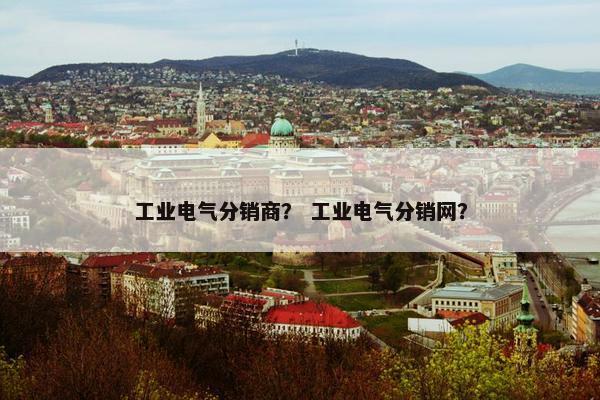 工业电气分销商？ 工业电气分销网？