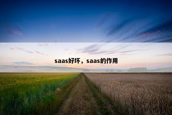 saas好坏，saas的作用
