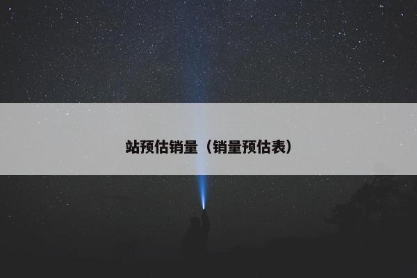 站预估销量（销量预估表）