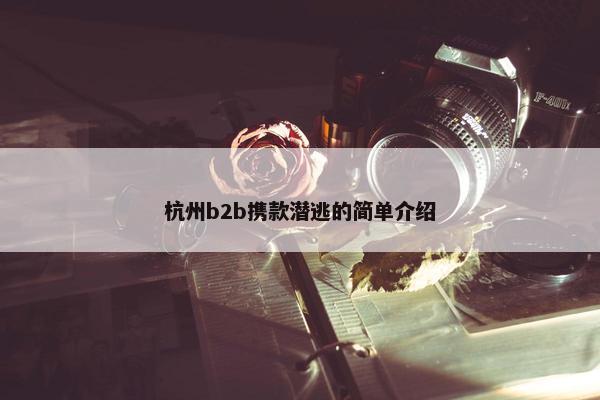 杭州b2b携款潜逃的简单介绍