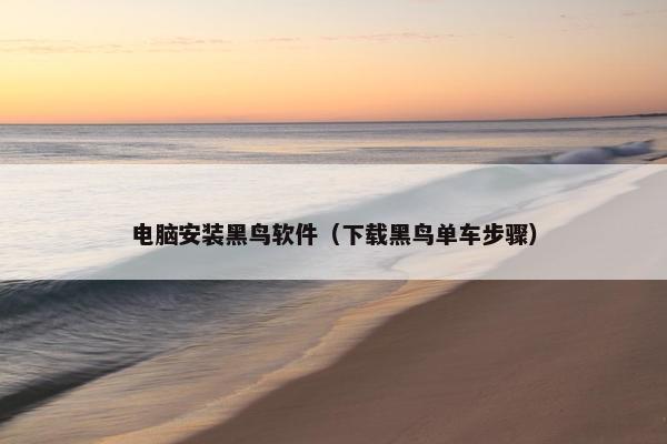 电脑安装黑鸟软件（下载黑鸟单车步骤）