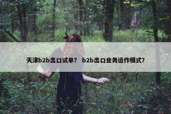 天津b2b出口试单？ b2b出口业务运作模式？