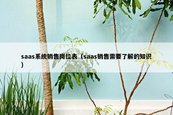 saas系统销售岗位表（saas销售需要了解的知识）