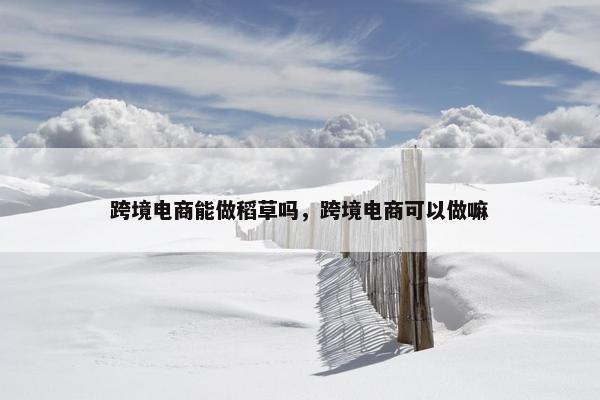 跨境电商能做稻草吗，跨境电商可以做嘛