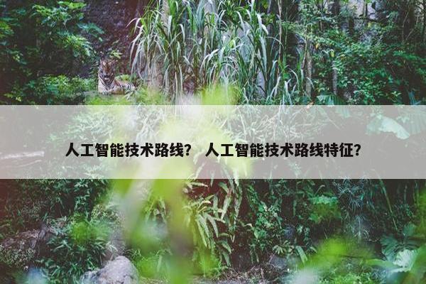 人工智能技术路线？ 人工智能技术路线特征？