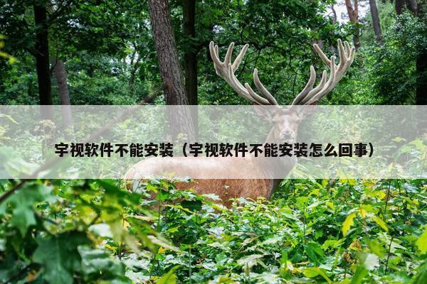 宇视软件不能安装（宇视软件不能安装怎么回事）