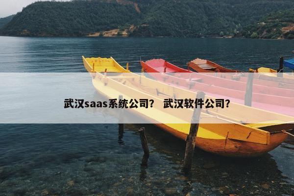 武汉saas系统公司？ 武汉软件公司？