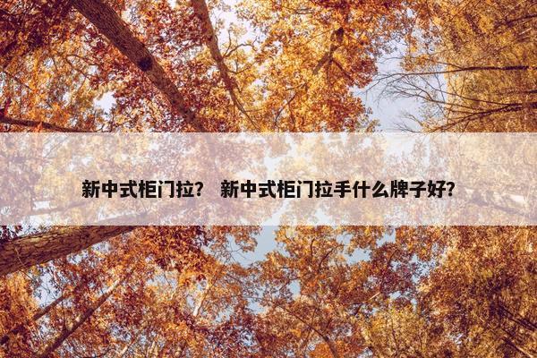 新中式柜门拉？ 新中式柜门拉手什么牌子好？